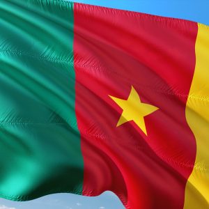 Drapeau Cameroun